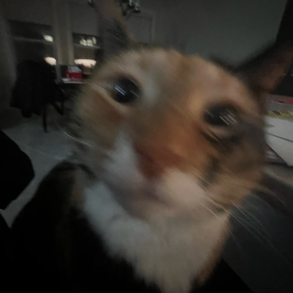 lonelysoda